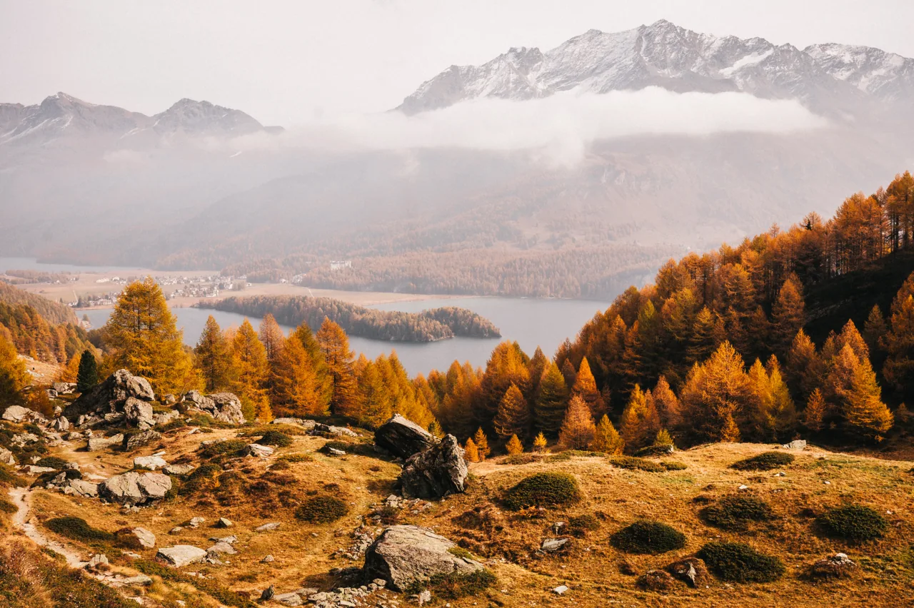 Laerchen, Landschaftsfotografie Schweiz von Thomas Leuthard