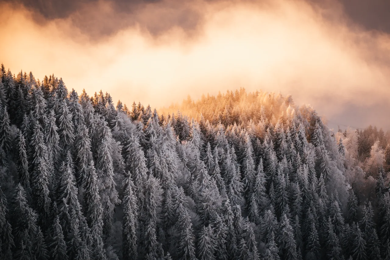 Raureif, Landschaftsfotografie Schweiz von Thomas Leuthard